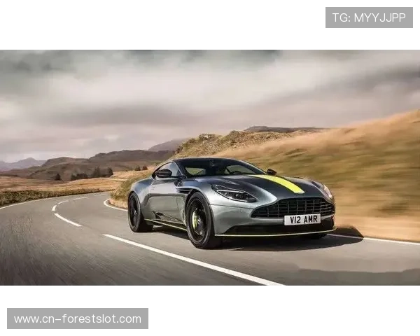 赛事仲裁要求阿斯顿·马丁为车迷送签名帽并邀其参观车库