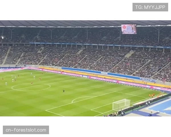 柏林赫塔新主场建设方案通过市政府最终审批。